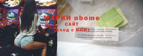 прущий лед Алзамай