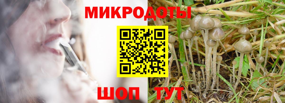 Прохладный  Псилоцибиновые грибы GOLDEN TEACHER  Вход с VPN 